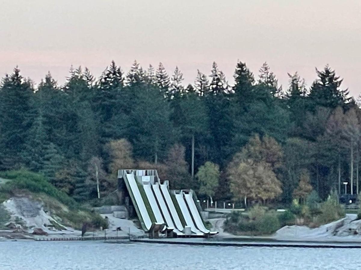 Tofino, Een Comfortabel Vakantiehuis Naast Een Bos En Zwemmeer Villa Gasselte Exterior foto